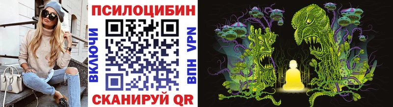 Галлюциногенные грибы Psilocybine cubensis  Елизаветинская 